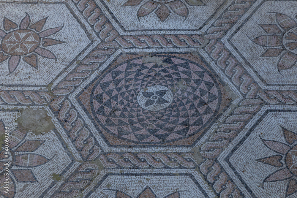 Roman mosaic Punishment of Queen Dirke in Pula