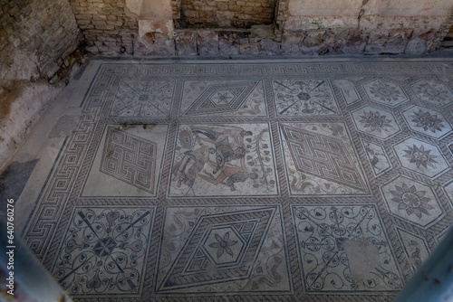 Roman mosaic Punishment of Queen Dirke in Pula