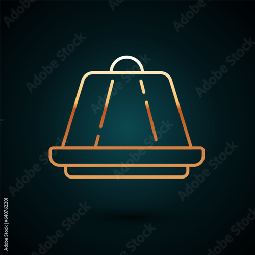 Gold line Pudding custard with caramel glaze icon isolated on dark blue background. Vector
