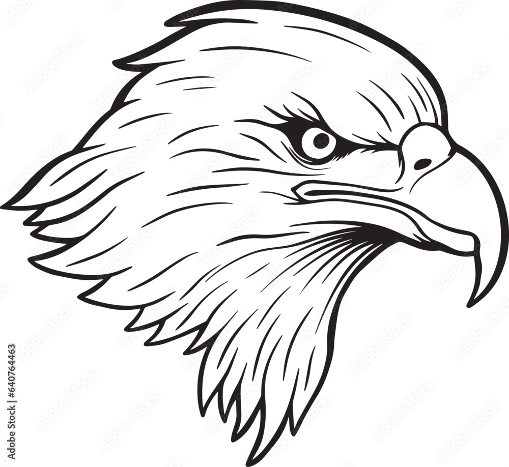 Obraz premium eagle head hand drawn illustrations for the design of clothes stickers tattoo etc