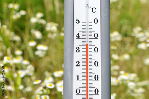 A thermometer on the background of a flower field. Summer temperature records.