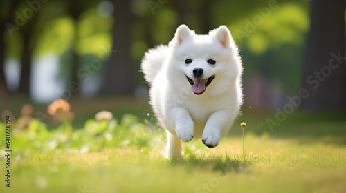 white dog running, Generative Ai 