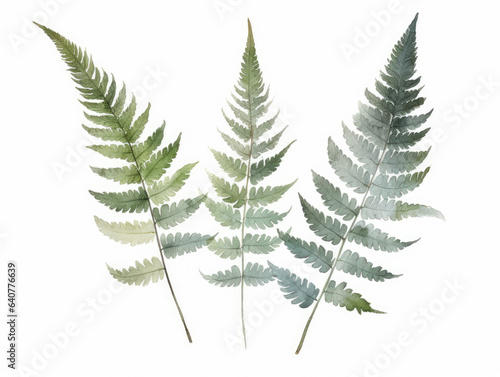 Ai Generated Art A Watercolor Painting of three Abstract Fern Leaves on the White Background in Bright Pastel Sage Green Colors