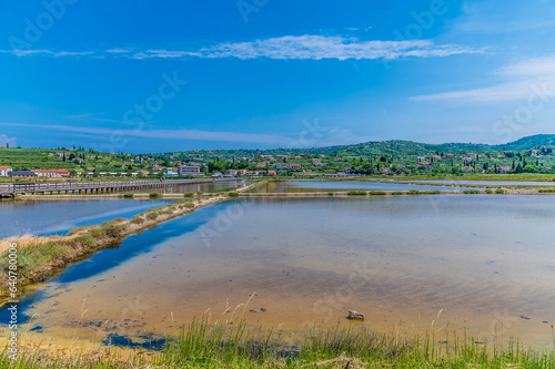 A view back over concentration pools at the salt pans at Secovlje, near to Piran, Slovenia in summertime photo