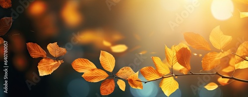 Autumn background with leaves