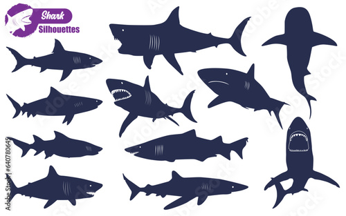 sea animal Shark silhouettes Vector illustration