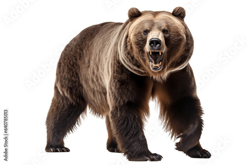 Fierce Grizzly Bear Isolated on Transparent Background Generative AI © Happymoon