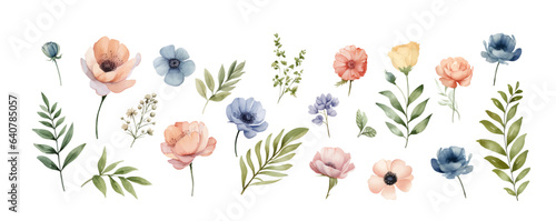 Wild flowers vector collection. herbs, herbaceous flowering plants, blooming flowers, subshrubs isolated on white background. Hand drawn detailed botanical.