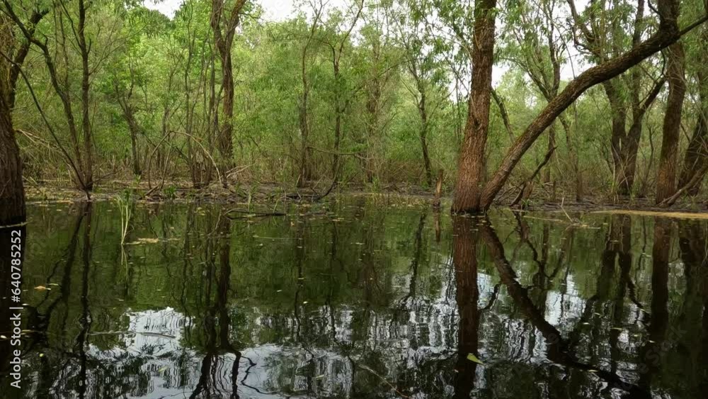 travel along rivers, flooded places, steppes, forests, fields, outdoor activities, unusual nature, beautiful nature travel along rivers, flooded places, steppes, forests, fields, outdoor activities, unusual nature, beautiful nature