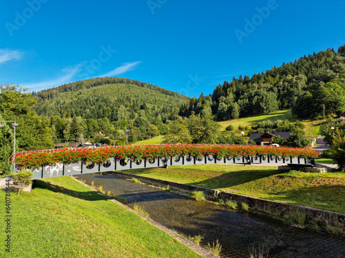 Fototapeta Naklejka Na Ścianę i Meble -  view of Beskidy Mountains surrounding Szczyrk mountain resort with bridge over Zylica creek in Beskidy Mountains in Silesia. Poland