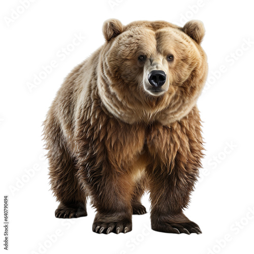 Hyper Realistic 3d render Bear isolated on transparent background. © PixelXpert