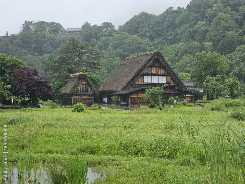 Shirakawa-Go Ogimachi Castle Observation Deck Wada House Plant Sky Plant community