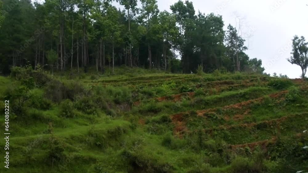 Riding toward a hill with some trees standing tall in a formation. Riding toward a hill with some trees standing tall in a formation.