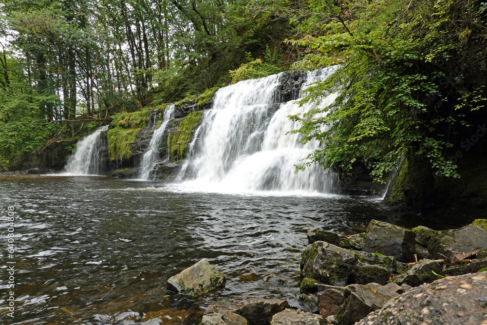 Fototapeta premium waterfall in the forest