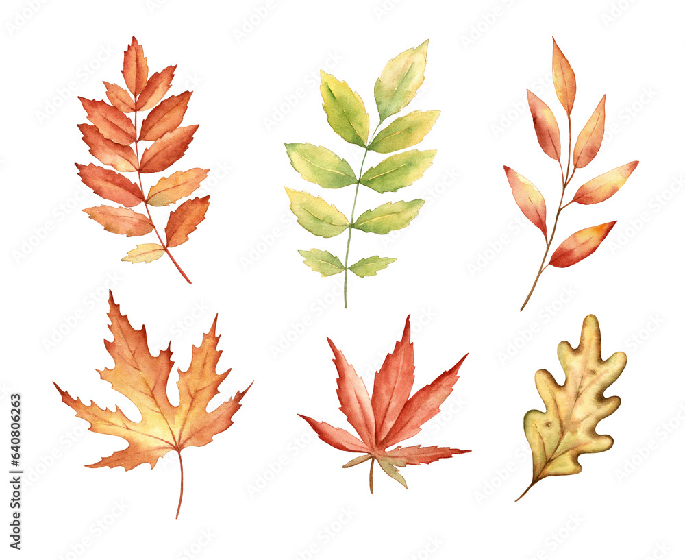 Fall leaves isolated on white background. Watercolor illustration. Fall leaves isolated on white background. Watercolor illustration.