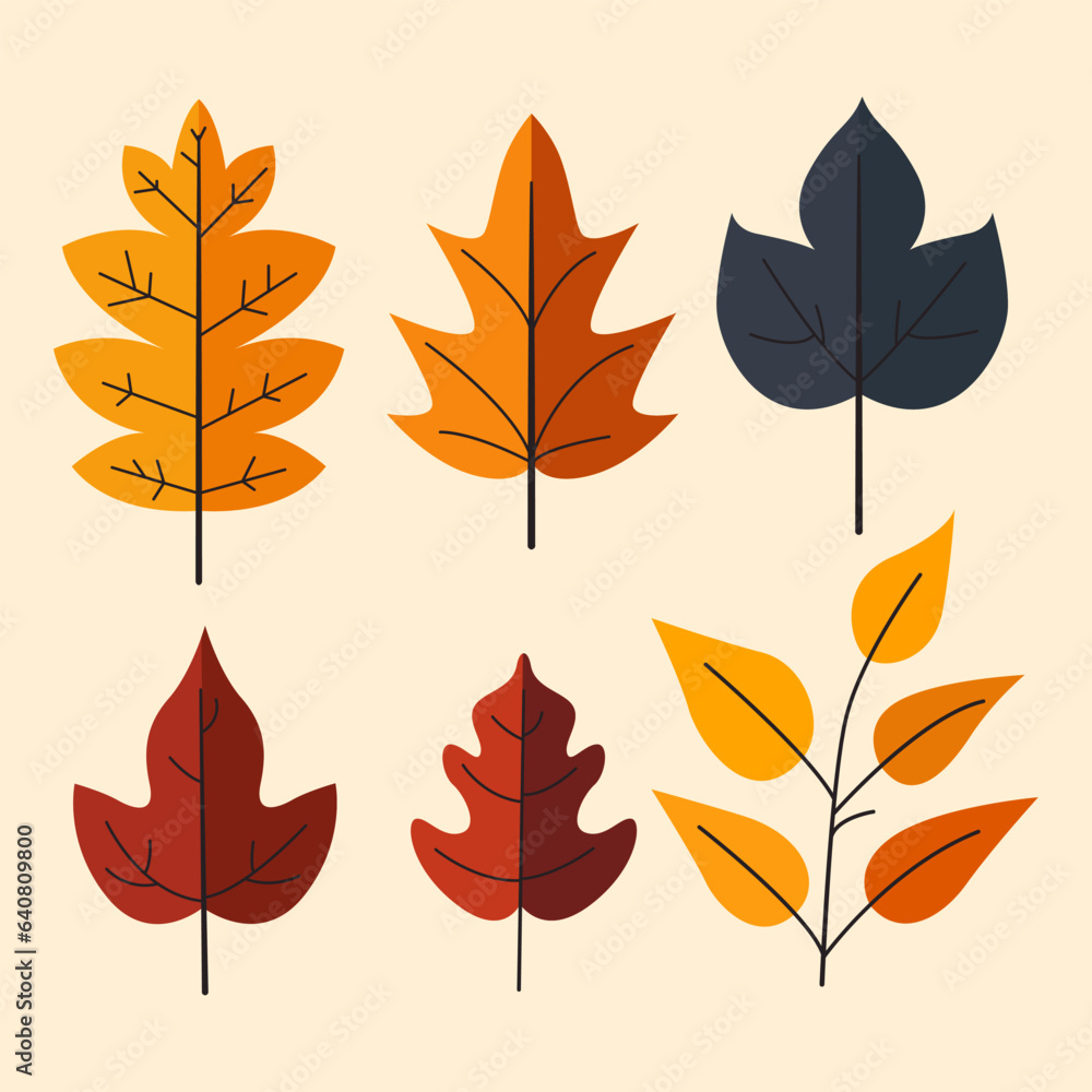 Set of colorful autumn leaves.Simple cartoon flat style. vector illustration.Isolated vector illustration. Design for stickers, logo, web and mobile app.