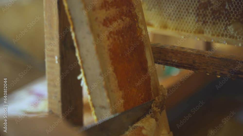 The beekeeper using a knife prints honeycombs with nesting frames. Close-up. Beekeeping. The beekeeper using a knife prints honeycombs with nesting frames. Close-up. Beekeeping.
