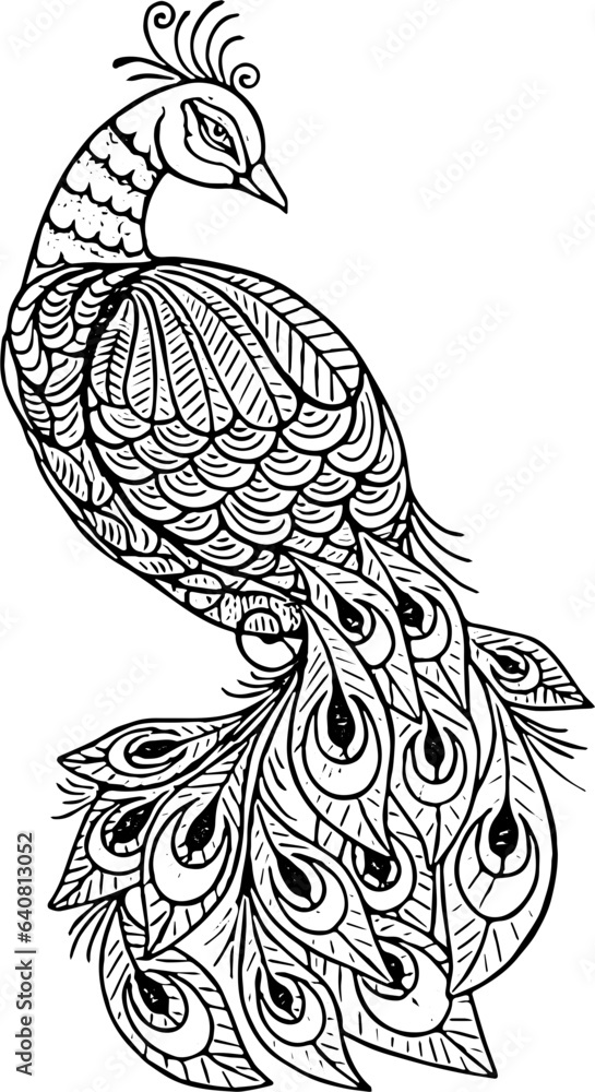 Fototapeta premium black and white peacock