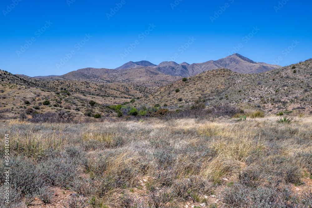 An Arizona desert landscape on a blue sky