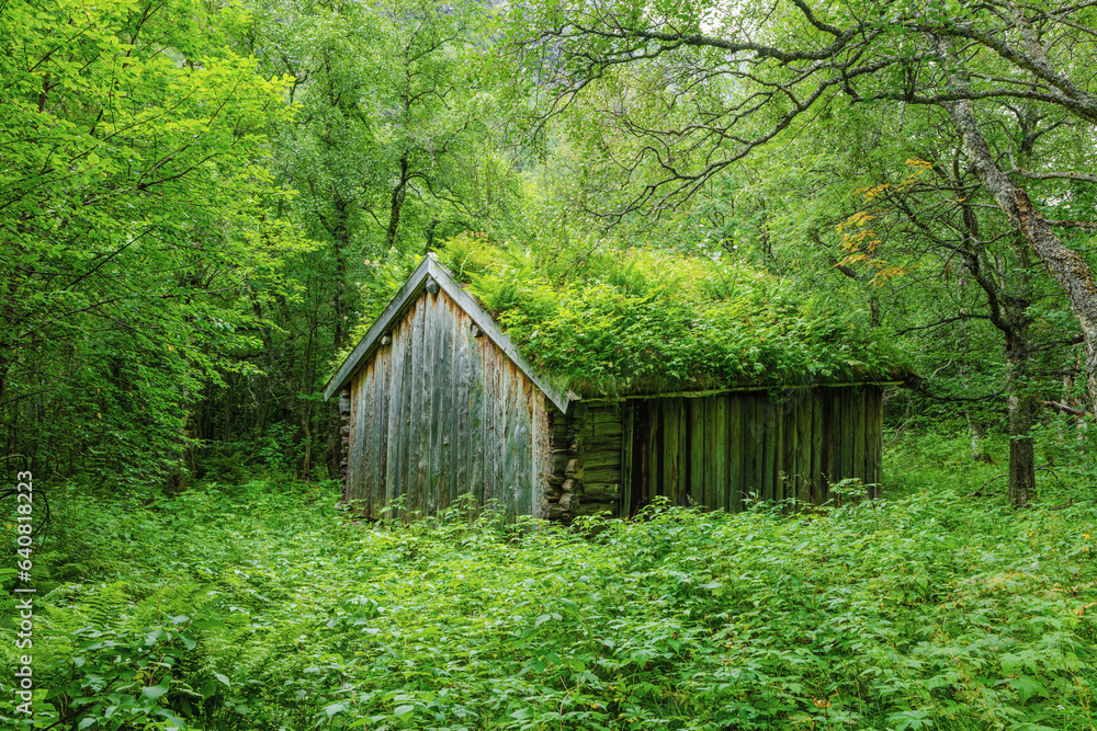 Old wooden barn in green surroundings with lush vegetation, Norway Old wooden barn in green surroundings with lush vegetation, Norway