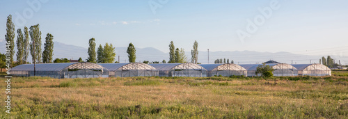 greenhouses in the field