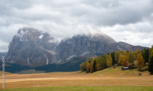 Landscape autumn meadow field. Dolomite rocky peaks. Alpe di siusi valley Italy.