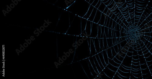 Blue Spider Web Against Black Background. Halloween Background