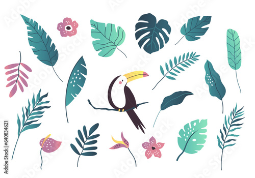 Set of tropical exotic leaves leaves, blooming flowers and toucan bird