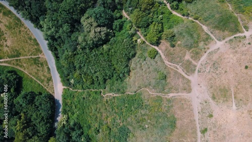 Aerial top down view of nature trails on Drachenberg in Grunewald Forest Berlin photo