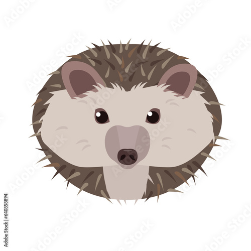 Hedgehog face isolated on white background. Prickly hedgehog head. Wild forest animal. Vector icon illustration.