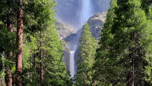 Yosemite Falls seen through the trees at Yosemite National Park in California. photo