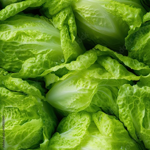 Lettuce as seamless tiles
