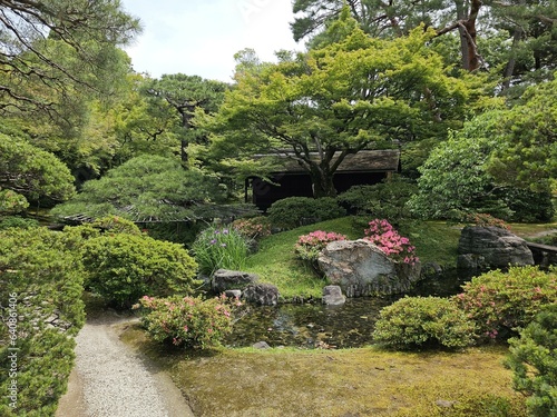 Kyoto Imperial Palace Kyoto Gyoen National Garden Plant Flower Sky Natural landscape