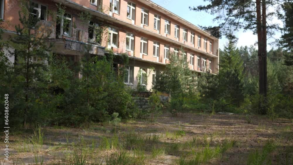 evicted building in the forest due to radiation 4k evicted building in the forest due to radiation 4k
