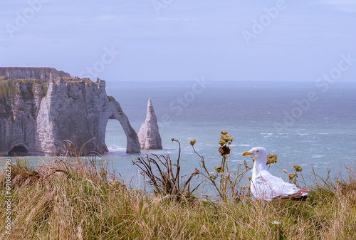 Étretat and its chalk cliffs, including three natural arches and a pointed formation called L'Aiguille or the Needle, which rises 70 metres (230 ft) above the sea, France, Normandy