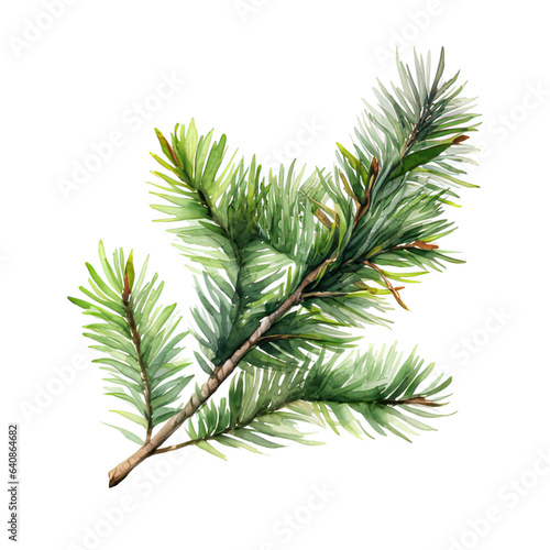 Fir branch watercolor illustration isolated on white background