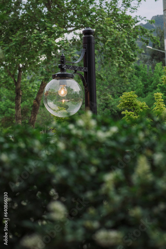  Electric light pole in the park - Story . nail in the garden