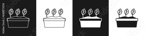 Set Plant in pot icon isolated on black and white background. Plant growing in a pot. Potted plant sign. Vector