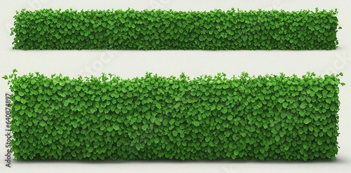set of cartoon green ivy. Creeper tree foliage border, garden decoration. vector illustration.