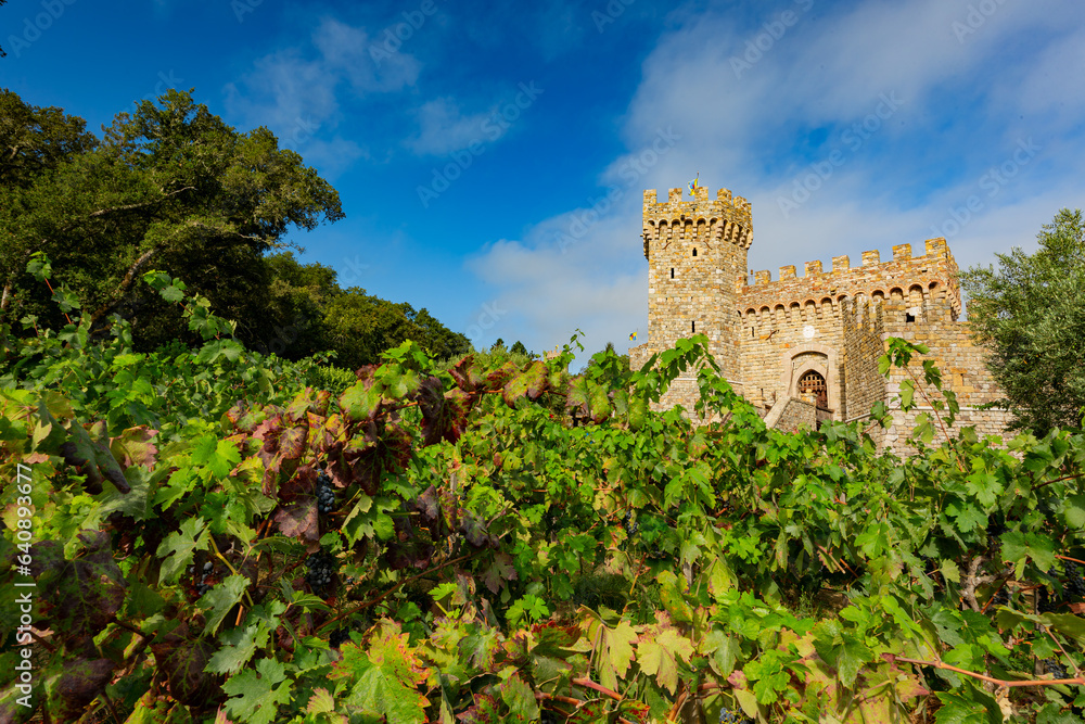 Sunny exterior view of the Castello di Amorosa winery