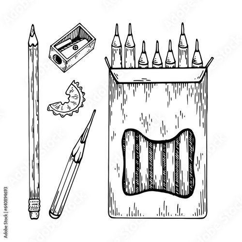 Sketch pencil set. Colored and graphite pens with sharpener line art. Hand drawn doodle vector illustration.