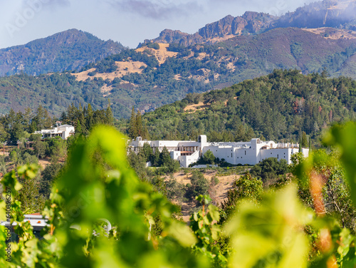Slika na platnu Sunny exterior view of Sterling Vineyards