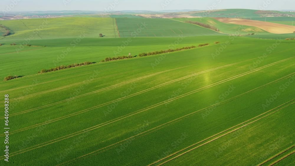 Aerial view of amazing green wavy hills with agricultural fields in spring. South Moravia region, Czech Republic, Europe, 4k Aerial view of amazing green wavy hills with agricultural fields in spring. South Moravia region, Czech Republic, Europe, 4k