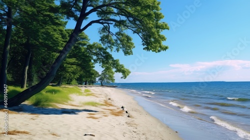 Incredible Beautiful Baltic...