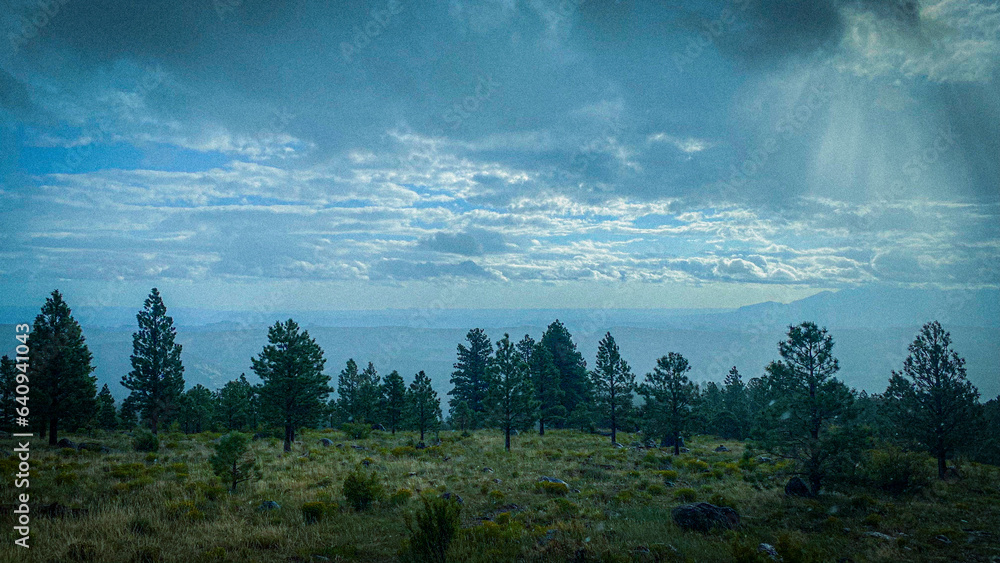 morning in the mountains morning in the mountains