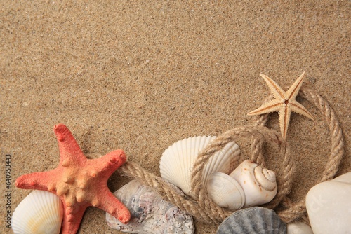 Beautiful sea stars, shells and rope on sand, flat lay. Space for text