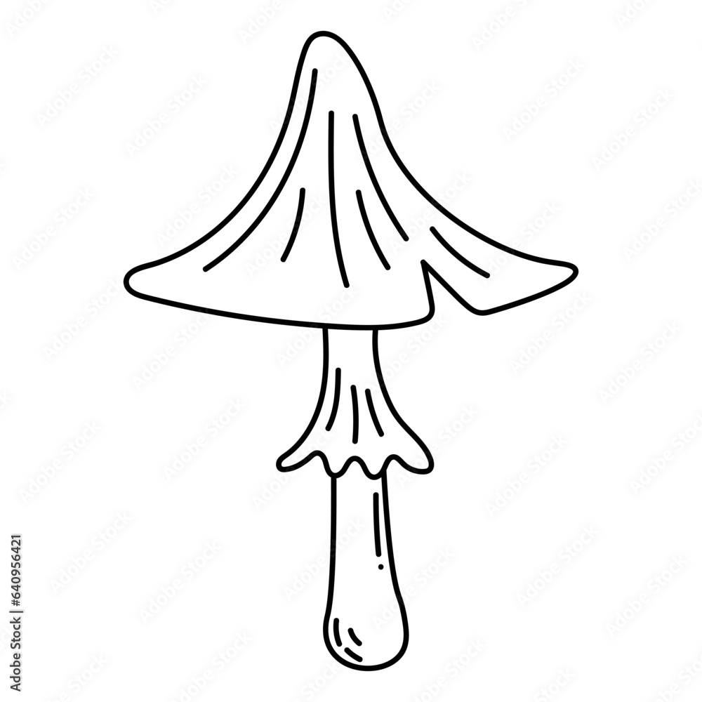 Mushroom Mushroom