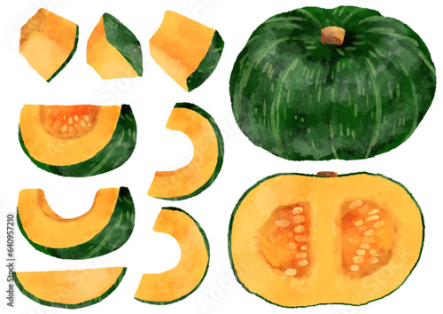 カボチャのイラスト　手描き　水彩風