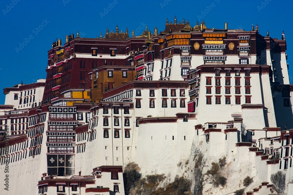 Capture the stunning architectural beauty of the Potala Palace complex in Lhasa, Tibet, with this close-up image showcasing intricate details of the iconic Red and White Palaces.
