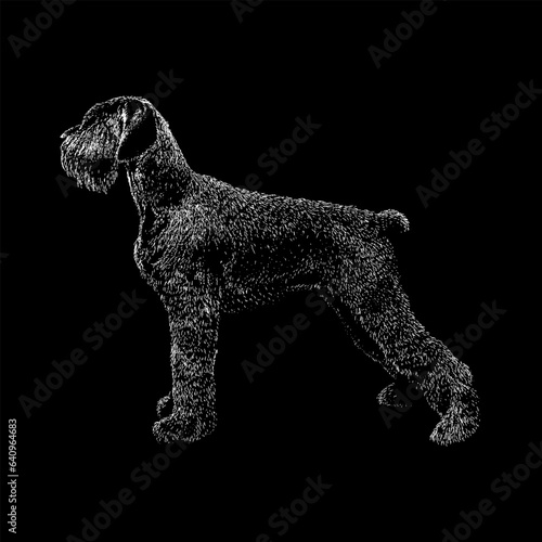 Giant Schnoodle hand drawing vector isolated on black background.